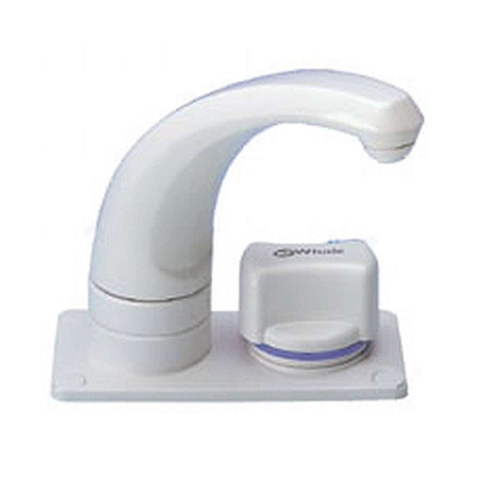  WHALE Single Tap Unit RT1000