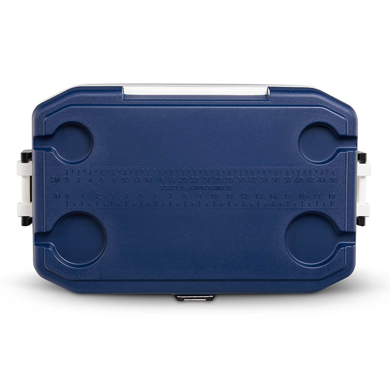  Igloo Maxcold 54QT Cool Box