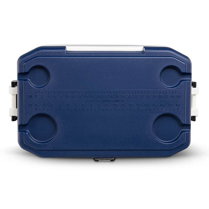  Igloo Maxcold 54QT Cool Box
